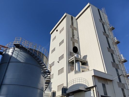 প্যাকিং মেশিনের সাথে টার্নকি প্রকল্প ডিটারজেন্ট পাউডার উত্পাদন লাইন